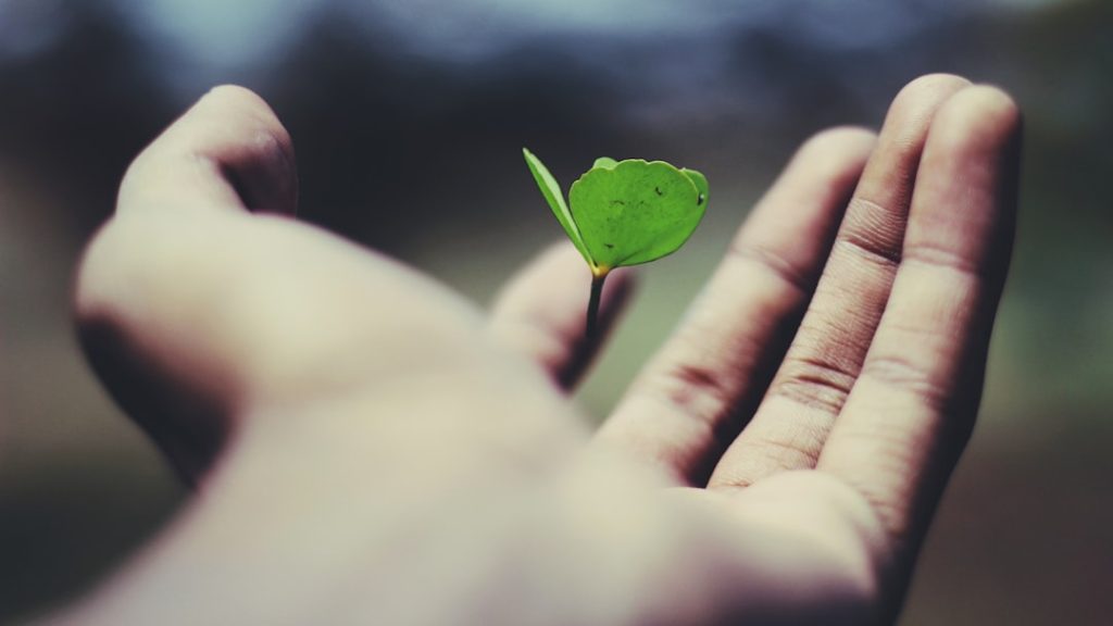 découvrez nos solutions d'assurance vie adaptées à vos besoins pour protéger votre famille et sécuriser votre avenir financier.