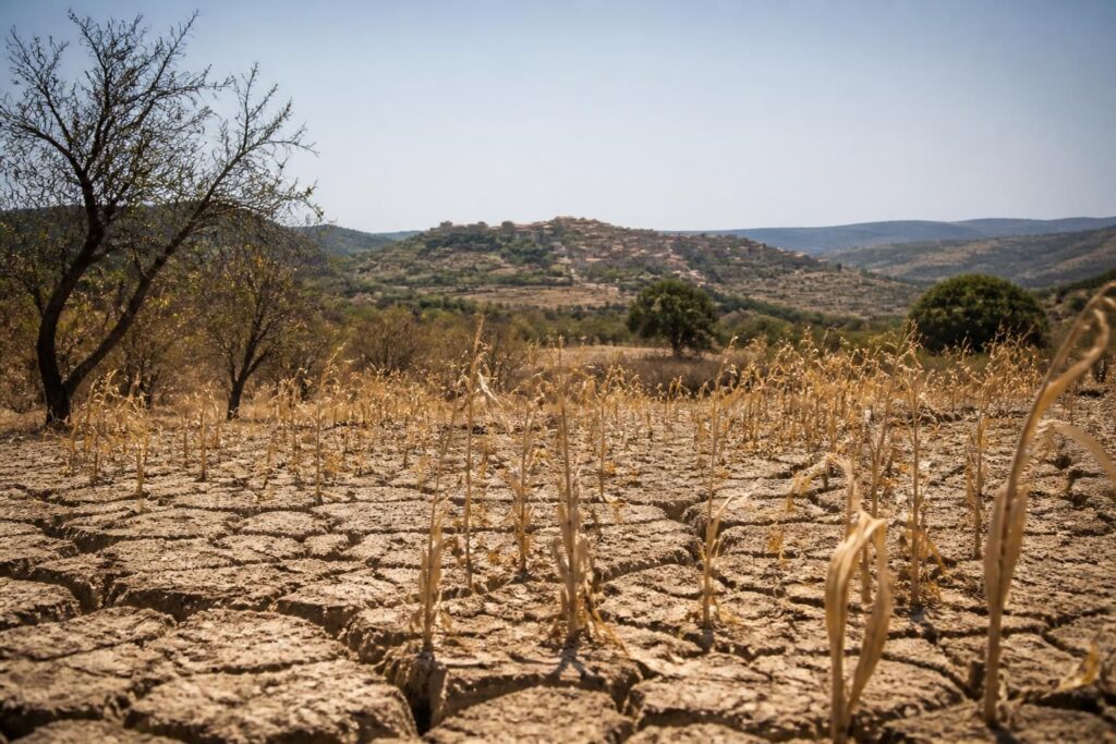 découvrez la liste officielle des communes du sud de la france reconnues en état de catastrophe naturelle pour sécheresse en 2024, avec toutes les informations utiles.